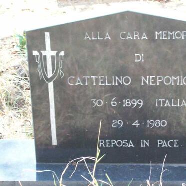 CATTELINO Nepomiceno 1899-1980