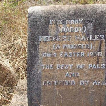 HAYLES Herbert 19?8