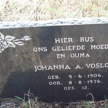 VOSLOO Johanna A. 1906-1976