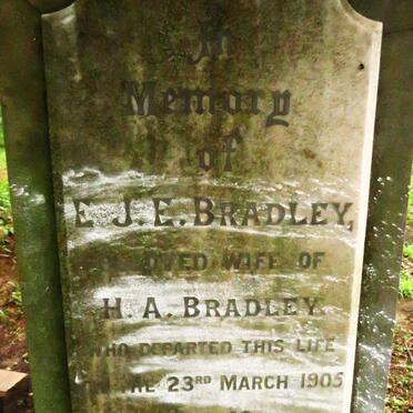 BRADLEY E.J.E. -1905_2