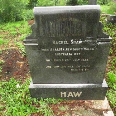 HAW Rachel Shaw 1877-1944