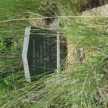 ROOYEN Petrus, van 1914-1978