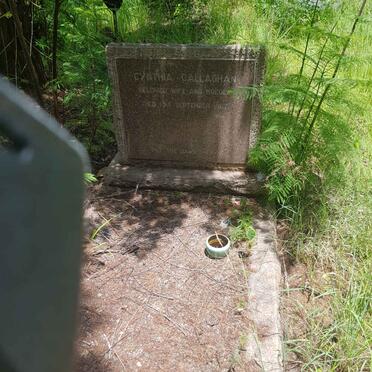 CALLAGHAN Cynthia -1967