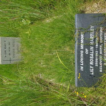 HARTLEY Lily Rosalin 1943-201? :: HARTLEY Jennifer Merle