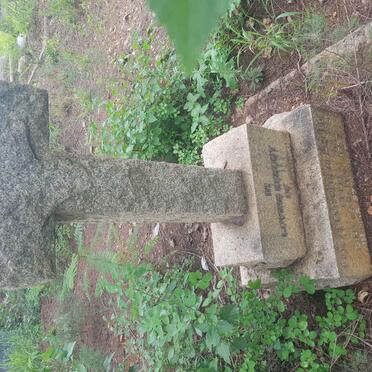 COLES Elizabeth Henchel Wood -19?7